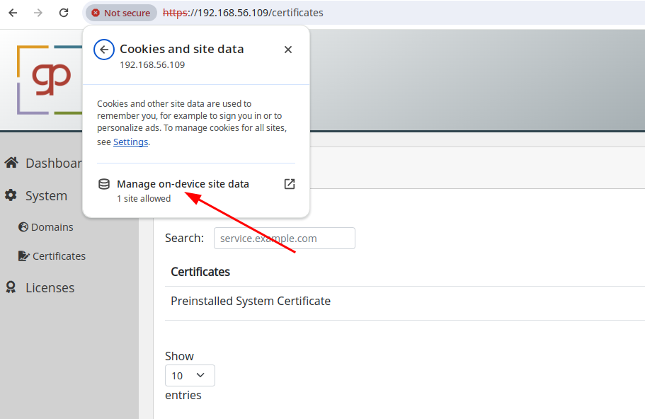 remove website cookies and site data chrome