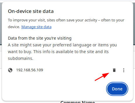 remove website cookies and site data chrome